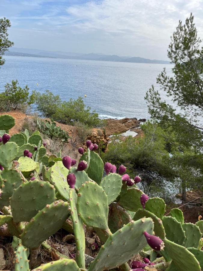La Ciotat Vieux Port 2アパートメント エクステリア 写真